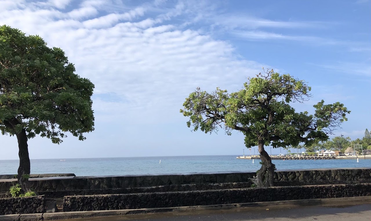 青空と静かな海辺の風景